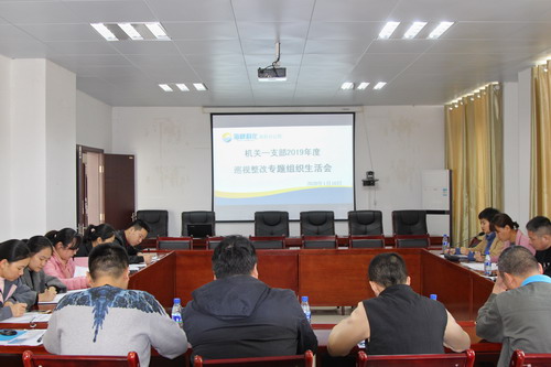 （采用）張力燕1：讓紅臉出汗成為常態(tài)——龍巖分公司機關一支部召開巡視整改專題組織生活會_調(diào)整大小.jpg
