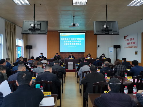 羅聯(lián)河：海峽科化公司召開2017�?019年度領導班子及成員述職述責述廉考核會_調(diào)整大小.jpg