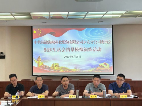 格式工廠永安分公司鮑玉婷：海峽科化永安分公司黨委“實(shí)戰(zhàn)演練”推動(dòng)組織生活會(huì)嚴(yán)起來、活起來、實(shí)起來 (2).jpg